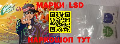 гидропоника Дубна